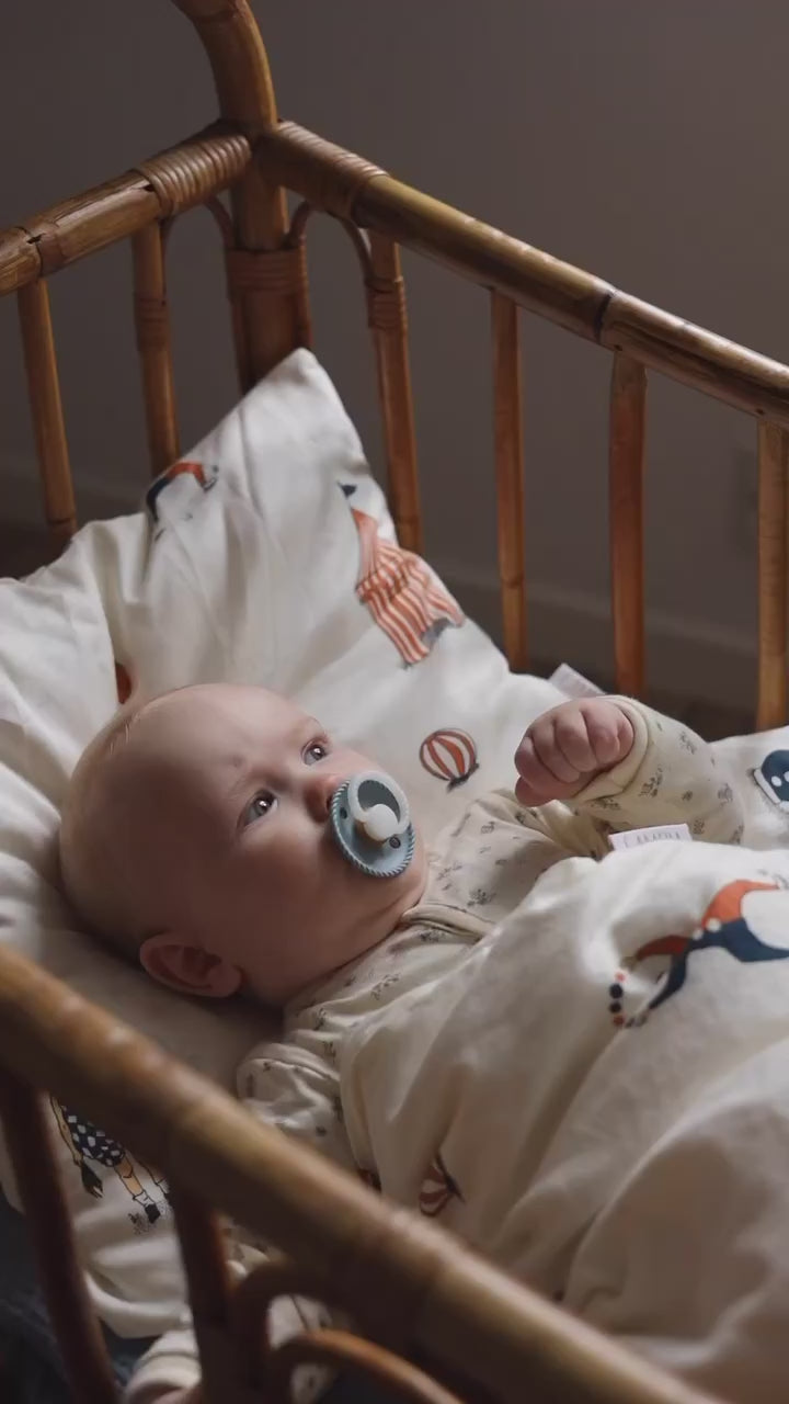 Naloži video: Nočne dude FRIGG