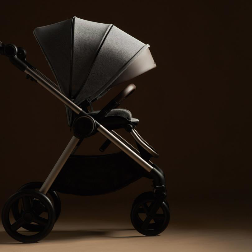 Anex® Otroški voziček 6v1 IQ (0-22kg) Richi Anex