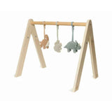 Jollein® Babygym Toys Roarsome  3pcs