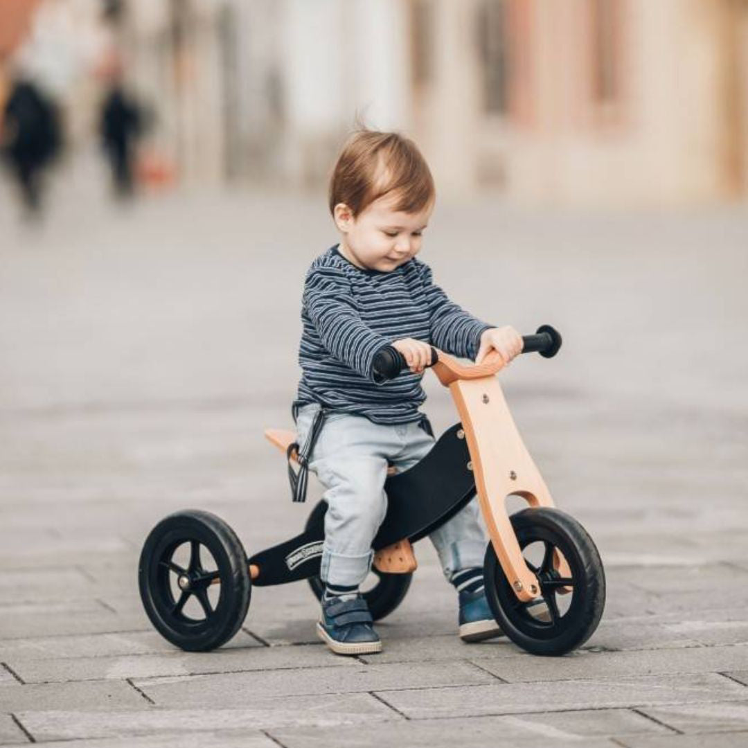 Free2Move® Lesen trikolesnik in poganjalec Rider PLUS 2v1 Black Free2Move