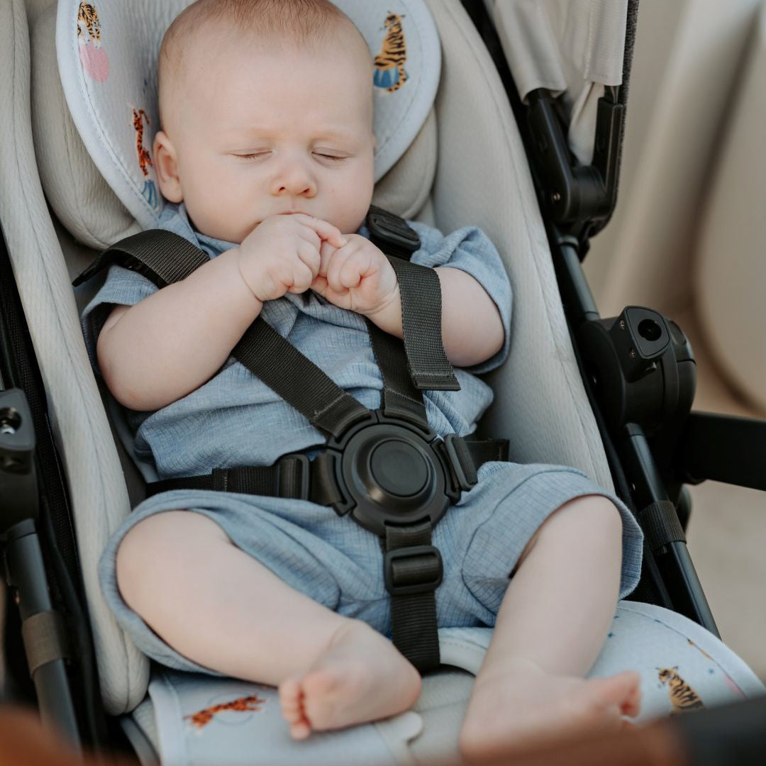 AeroMoov® Zračna podloga za voziček Skupina B (0-18 kg) Circus Tiger AeroMoov