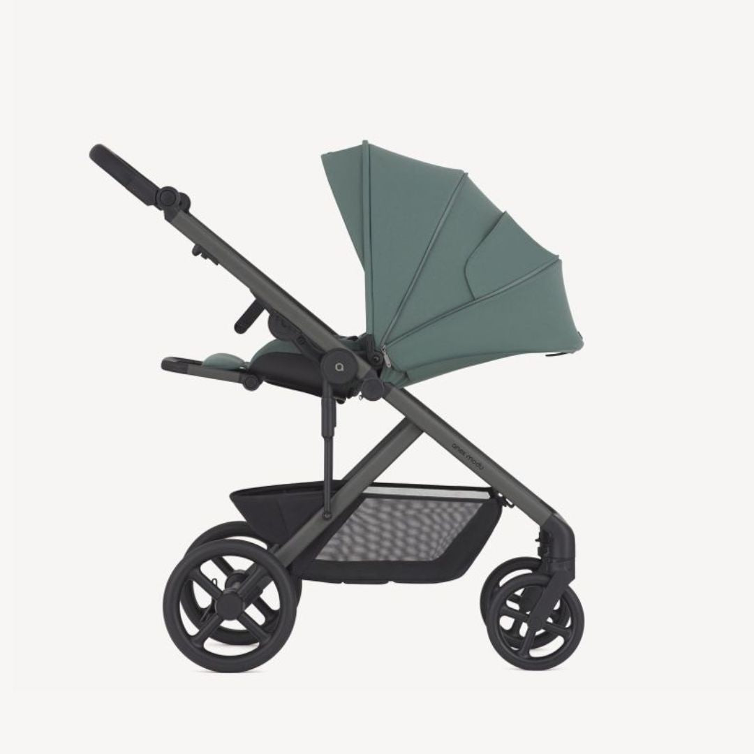 Anex® Otroški voziček 2v1 Modu Greeny Anex