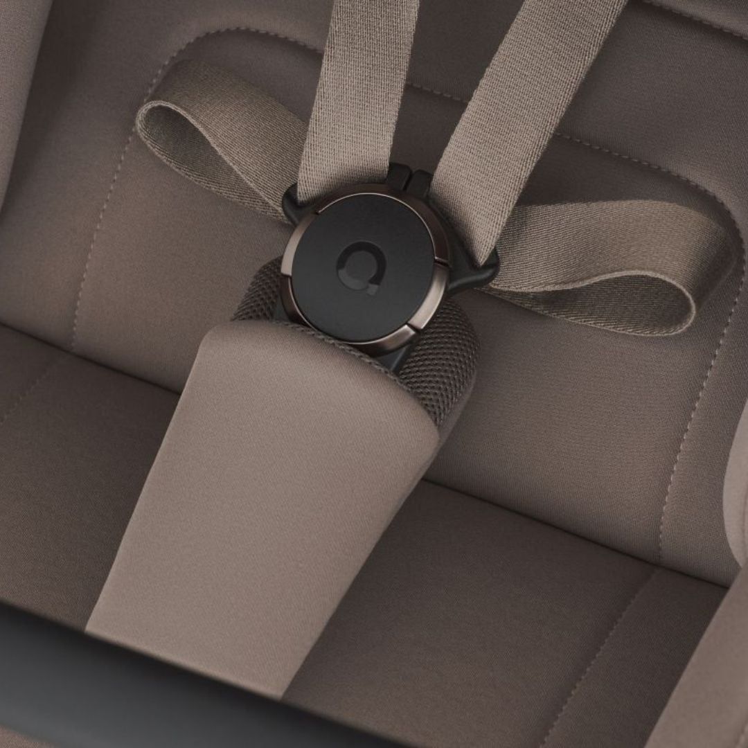 Anex® Otroški voziček 2v1 Modu Rooty Anex