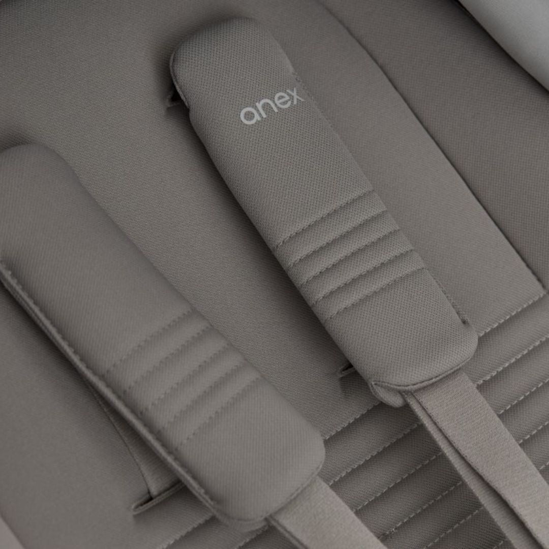 Anex® Otroški voziček 2v1 Eli Santal Anex