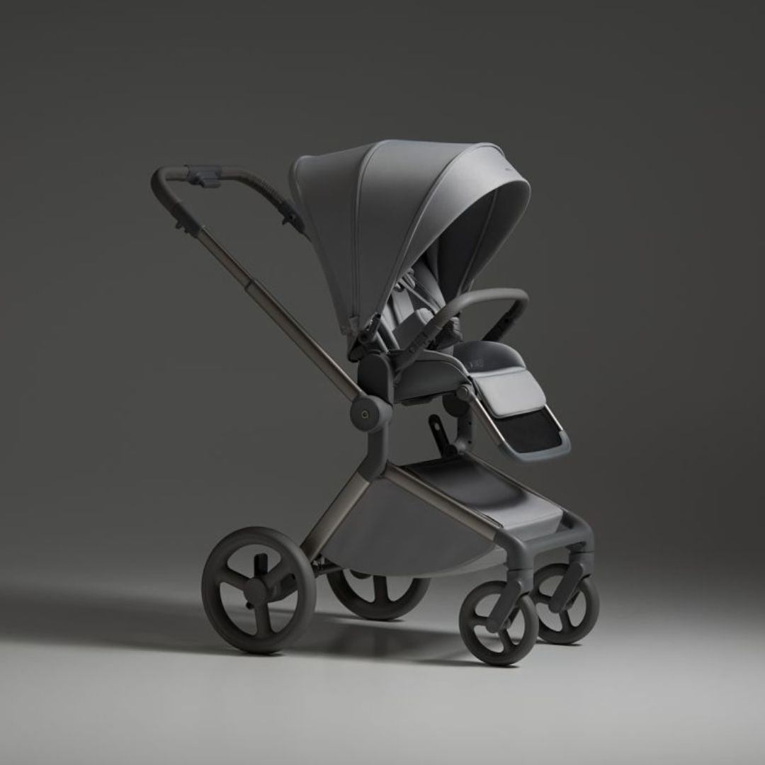 Anex® Otroški voziček 2v1 Flo Frossy Anex