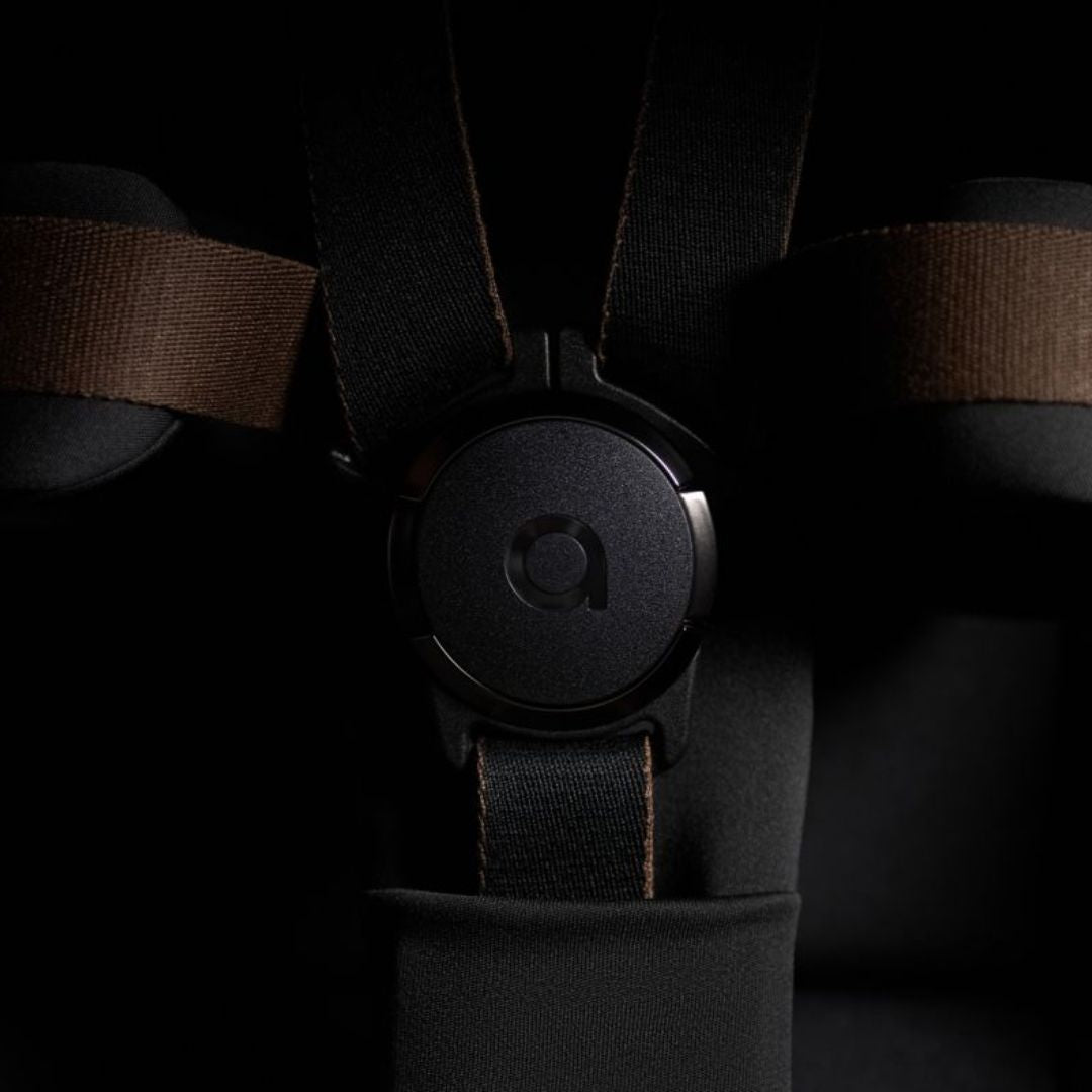 Anex® Otroški voziček 2v1 Flo Lungo Anex