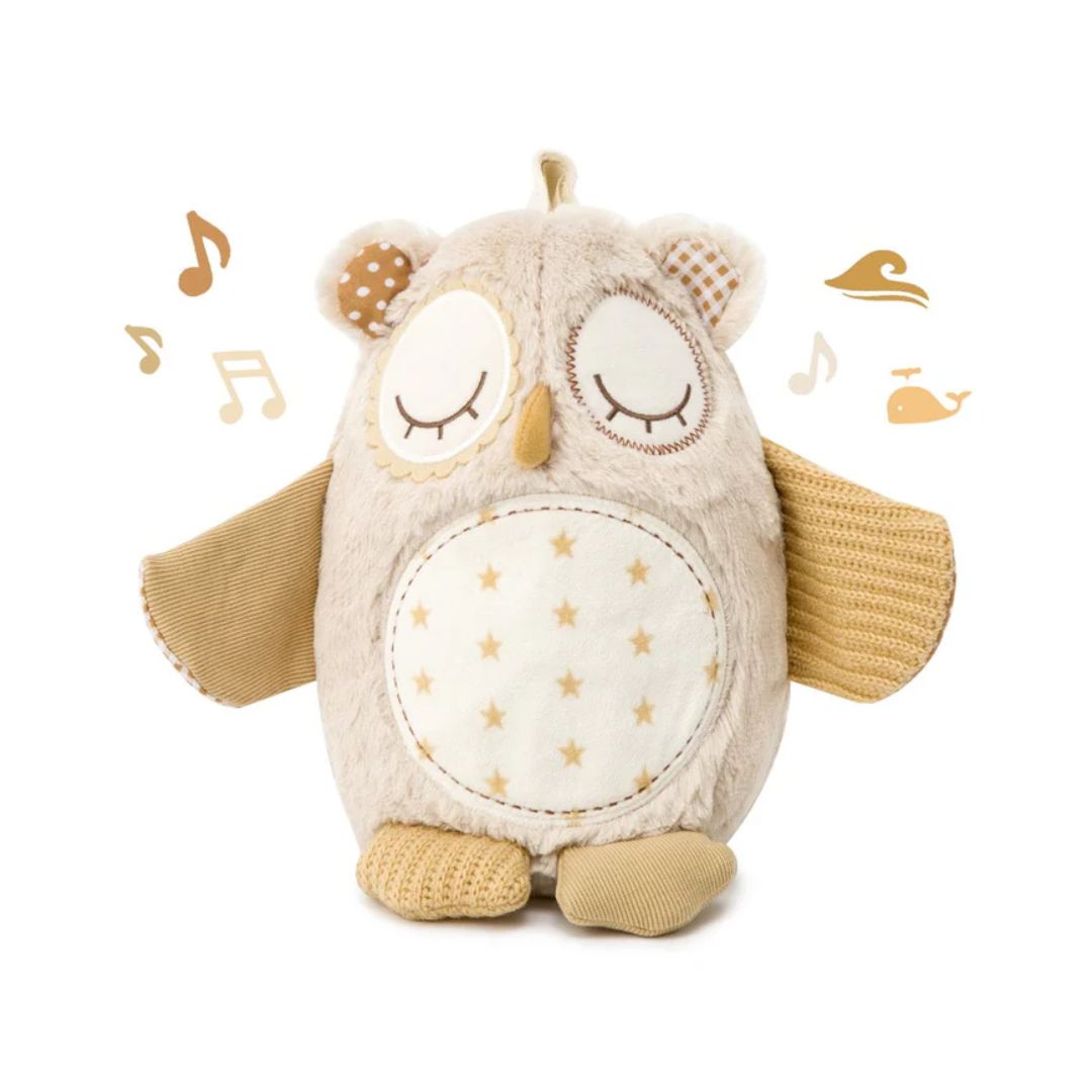 Cloud B® Speča sovica s pomirjujočimi zvoki in senzorjem Nighty Night Owl Cloud B