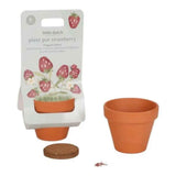 Little Dutch® Vaso per piante Fragole