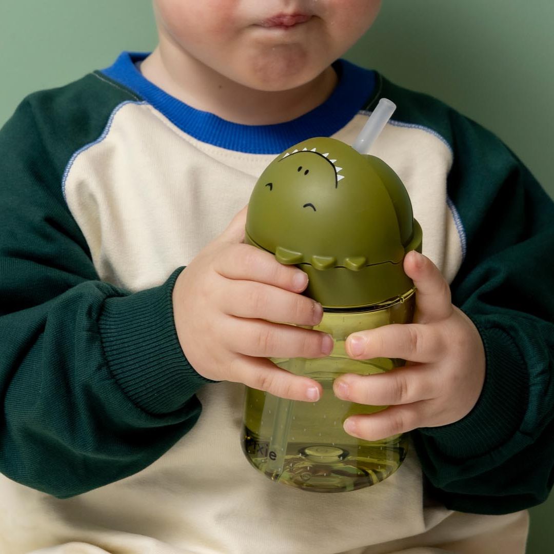 Trixie Baby® Steklenička s slamico iz tritana Mr. Dino 300 ml Trixie Baby