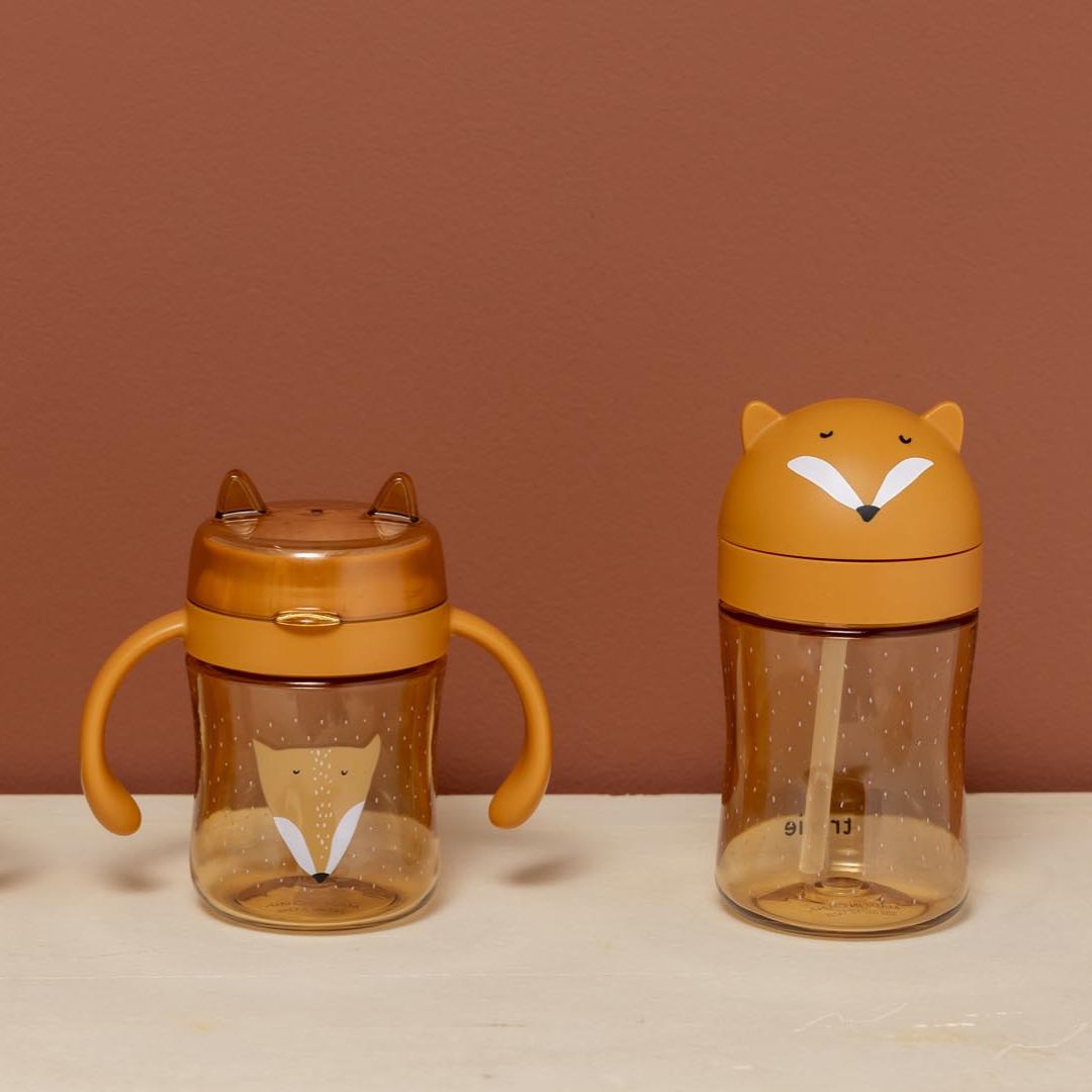 Trixie Baby® Steklenička s slamico iz tritana Mr. Fox 300 ml Trixie Baby