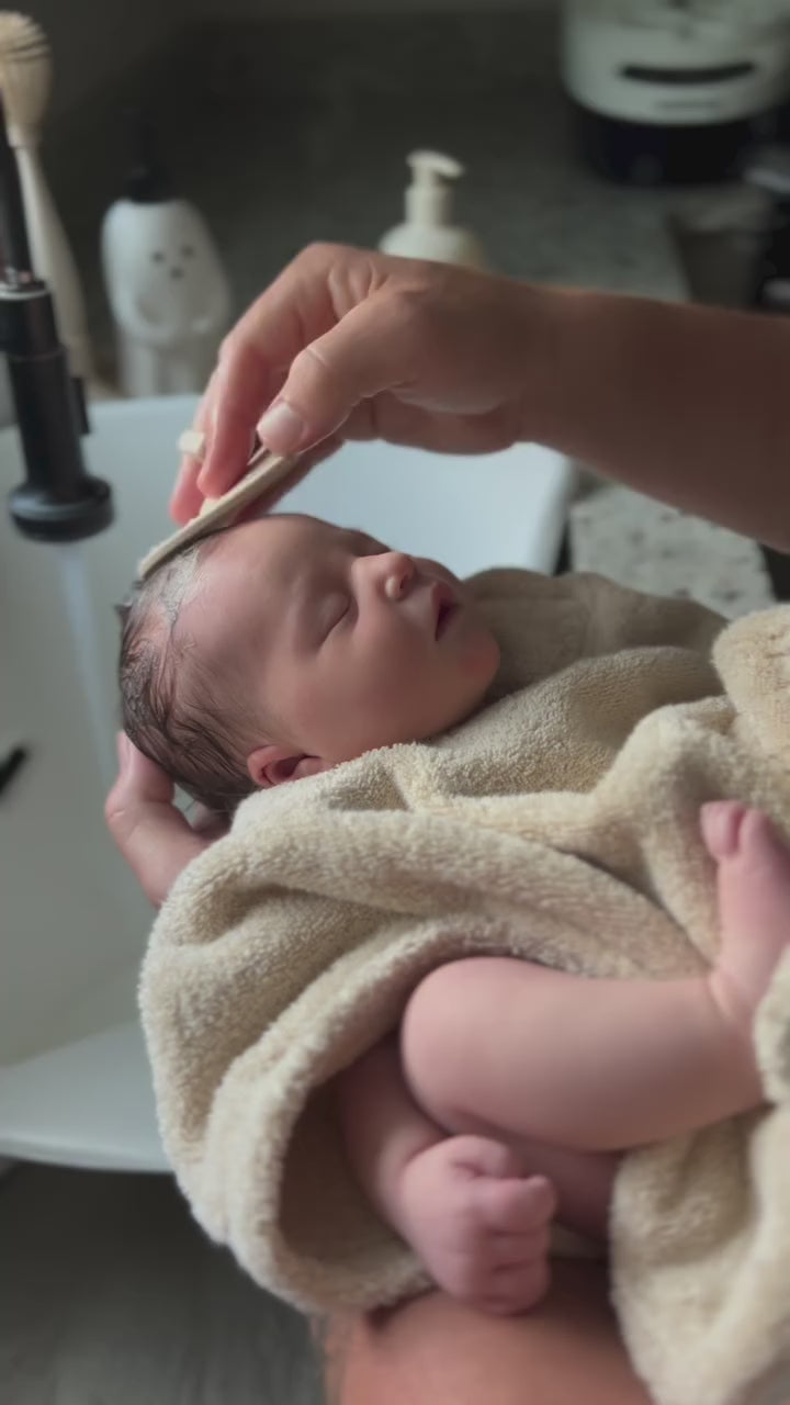 Charger la vidéo : Mushie® Brosse pour croûtes de lait lot de 2 Blush/Shifting Sand