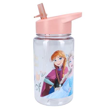 Picture of Disney's Fashion® Drinking bottle 450ml Frozen II Drink Up